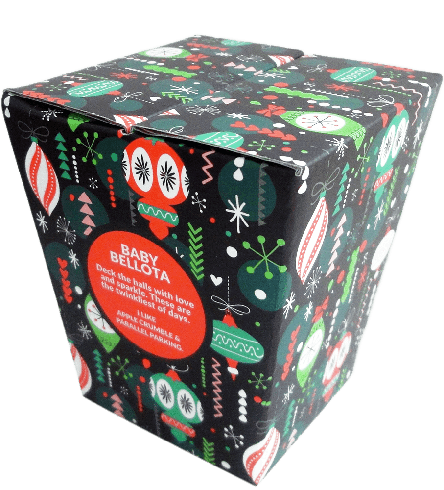 Baby Bellota Momiji doll gift box with red, green & white festive ornaments; secret message inside. One side shows a message. — Momiji Doll