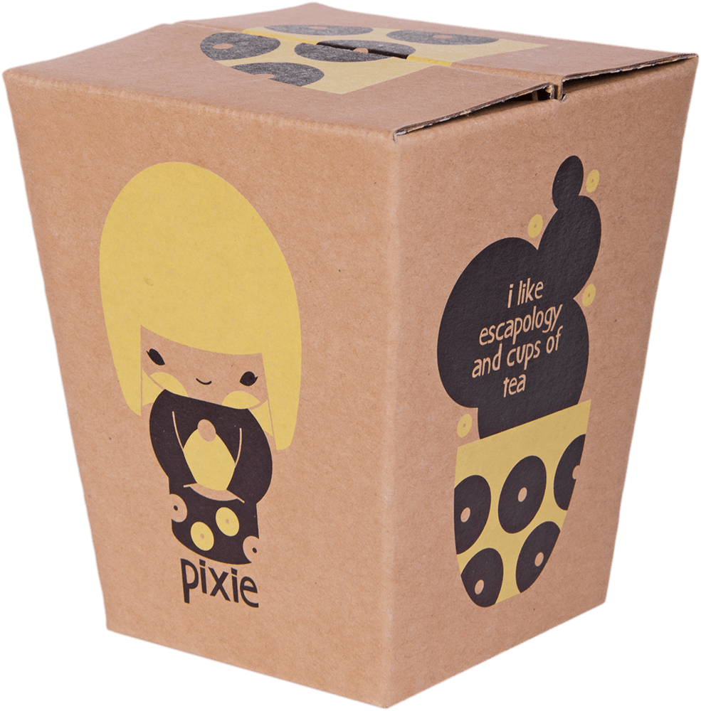 Brown box labeled "Pixie" with a kawaii Momiji doll featuring bright colors—ideal for escapology and tea fans. — Momiji Doll
