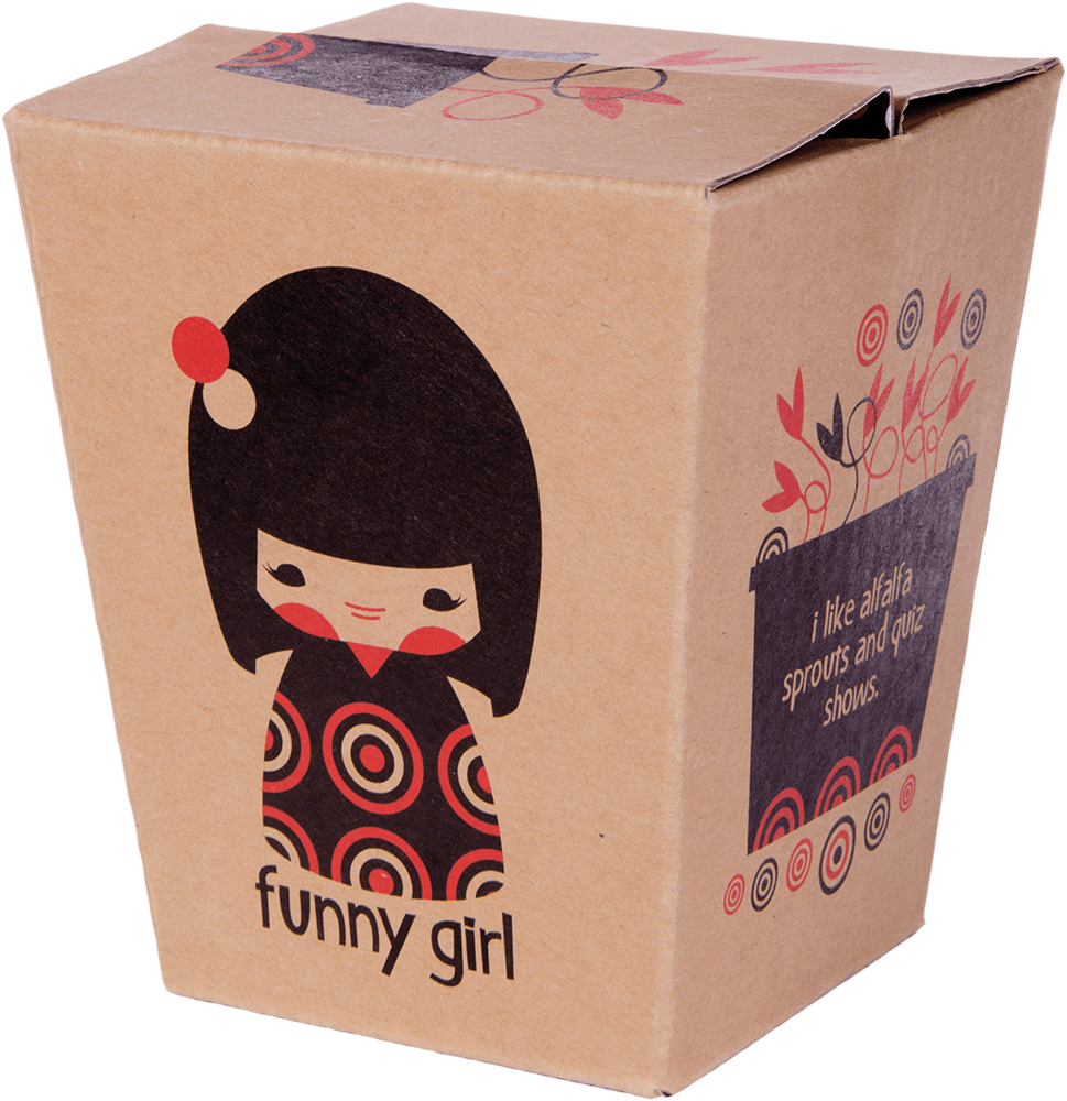 Brown box featuring the Funny Girl Momiji doll character; side text: I like alfalfa sprouts & quiz shows. Collectible. — Momiji Doll