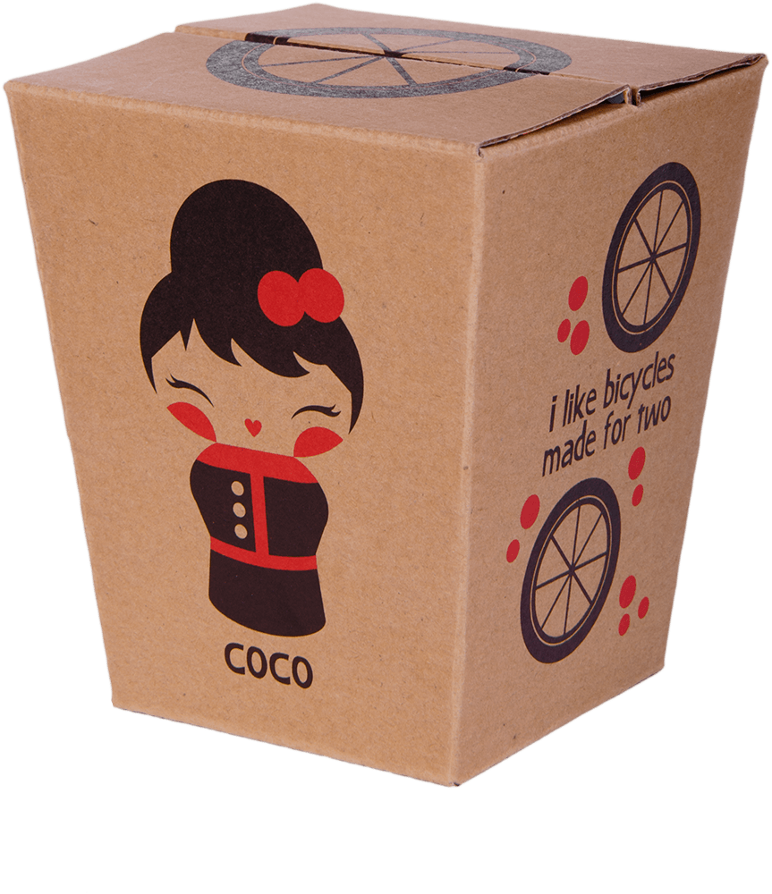 Brown takeout box with Momiji doll Coco, a kawaii character, “I like bicycles made for two” text, and bike wheel graphics. — Momiji Doll