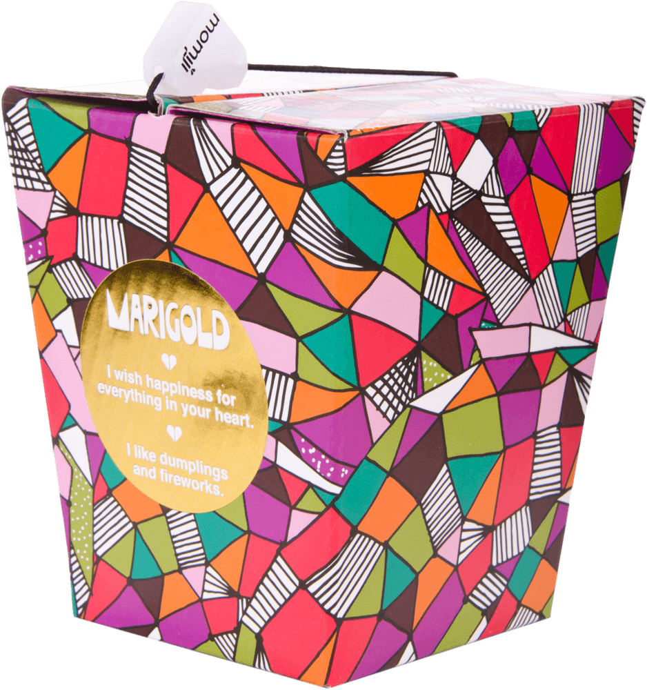 Marigold Momiji doll with a gold label, colorful geometric takeout box, and fireworks, wishing happiness. — Momiji Doll