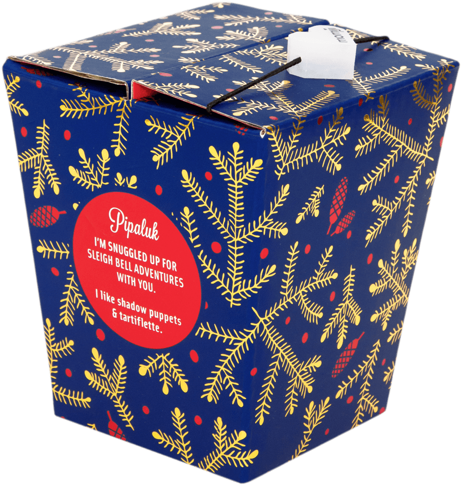 Blue Pipaluk Momiji doll box with kawaii yellow and red holiday foliage, festive text in a red circle, collectible design. — Momiji Doll