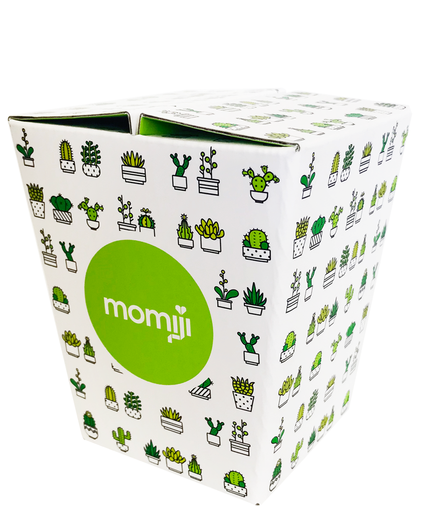 White box featuring cute potted plant art, large green circle with Bloom—Momiji doll character name—displayed on the side. — Momiji Doll
