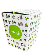 Load image into Gallery viewer, Bloom
