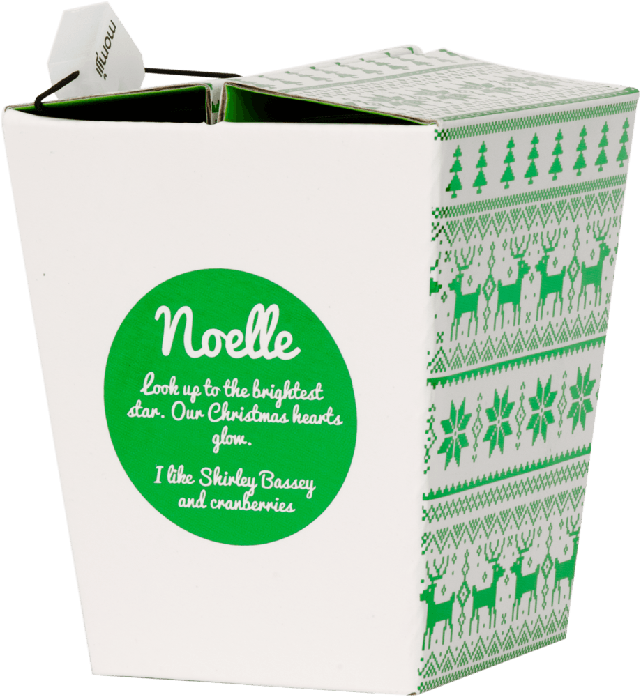 Momiji doll with a festive "Noelle" label, green Christmas patterns on a white takeout box, inspired by holiday cheer. — Momiji Doll